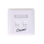 Giganet cat 6 UTP double faceplate